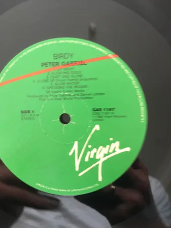 Album cover for Birdy by Peter Gabriel