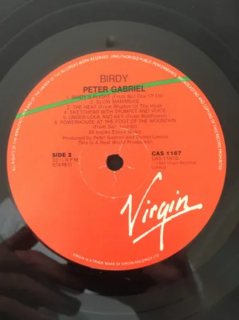 Album cover for Birdy by Peter Gabriel