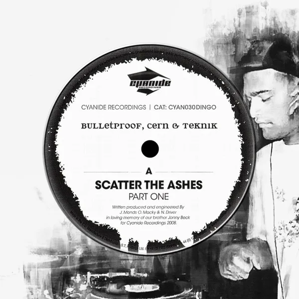 Album cover for Scatter The Ashes / Vulcanic by Various