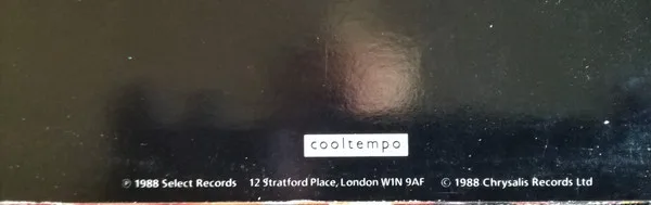 Album cover for Respect by Real Roxanne, The