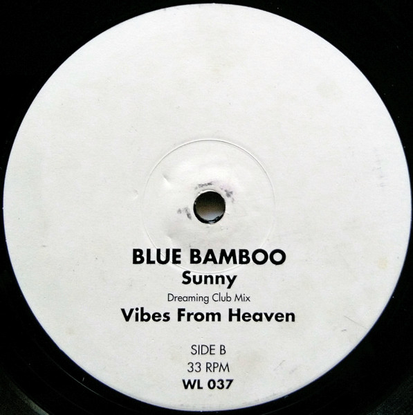 Blue Bamboo - Sunny, Electronic, Euro House, 1996 - WL Records, Belgium, Vinyl 1x 12", 33 ⅓ RPM, 45 RPM