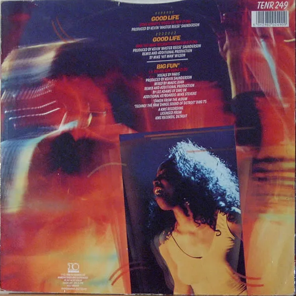 Album cover for Good Life (Chicago Mixes) by Inner City