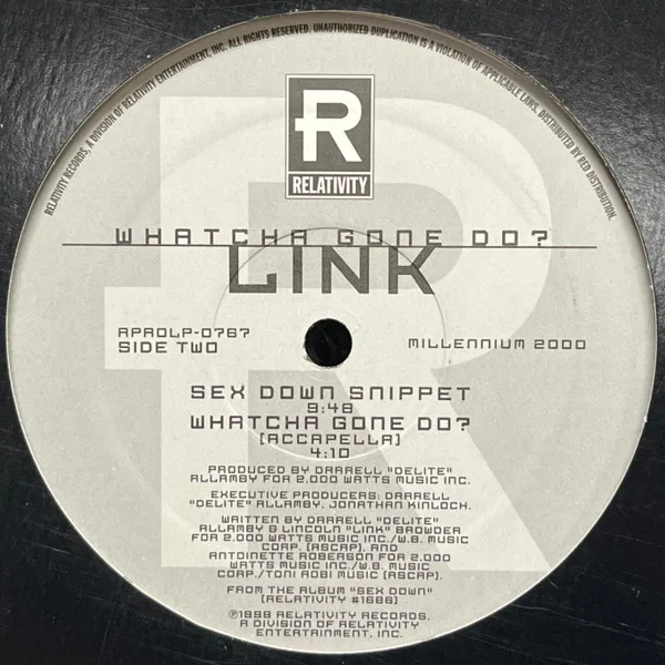 Album cover for Whatcha Gone Do? by Link (3)