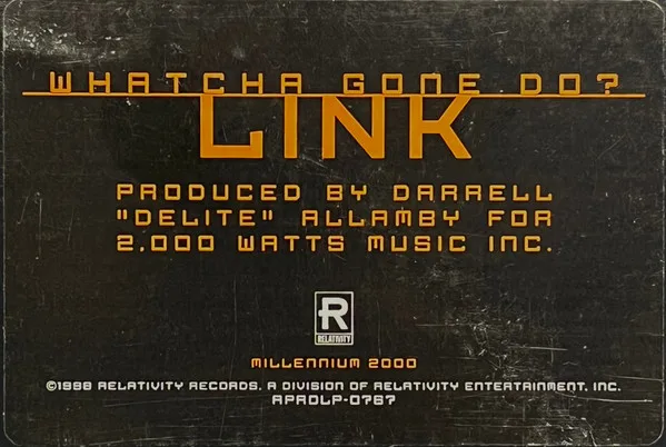 Album cover for Whatcha Gone Do? by Link (3)