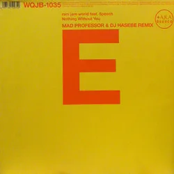 Nothing Without You (Mad Professor & DJ Hasebe Remix)