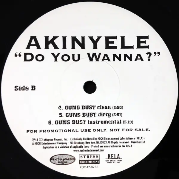 Akinyele - Do You Wanna?, Hip Hop, 2001 - Aktapuss Records, Stress Entertainment, US, Vinyl 1x 12", 33 ⅓ RPM, Promo