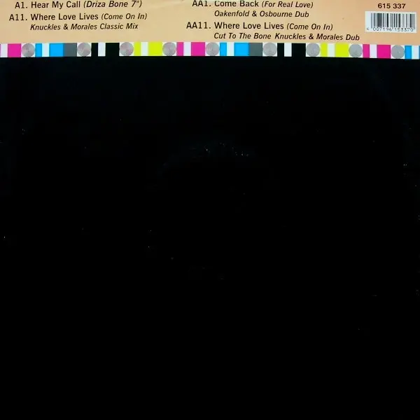 Album cover for Hear My Call / Where Love Lives (DMC Mastercut) by Alison Limerick