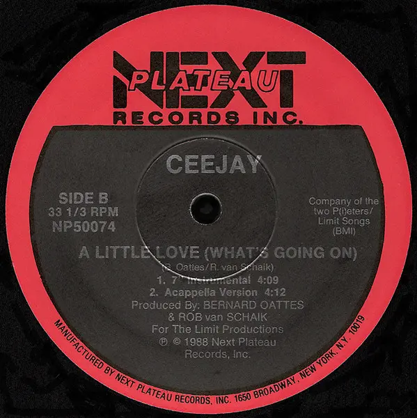 Ceejay - A Little Love (What's Going On), Electronic, Disco, Synth-pop, 1988 - Next Plateau Records Inc., US, Vinyl 1x 12", 3