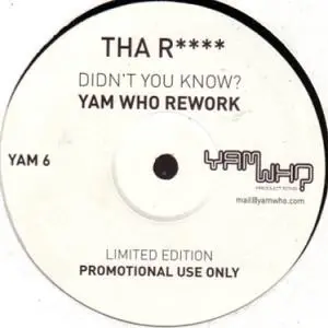 Didn't You Know? (Yam Who Rework)