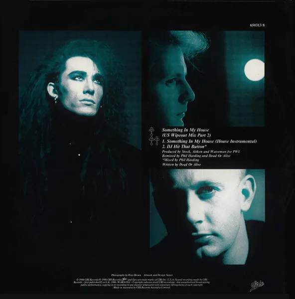 Album cover for Something In My House (US Wipeout Mix Part 2) by Dead Or Alive