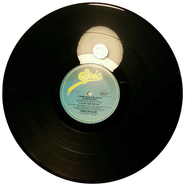 Album cover for Something In My House (US Wipeout Mix Part 2) by Dead Or Alive