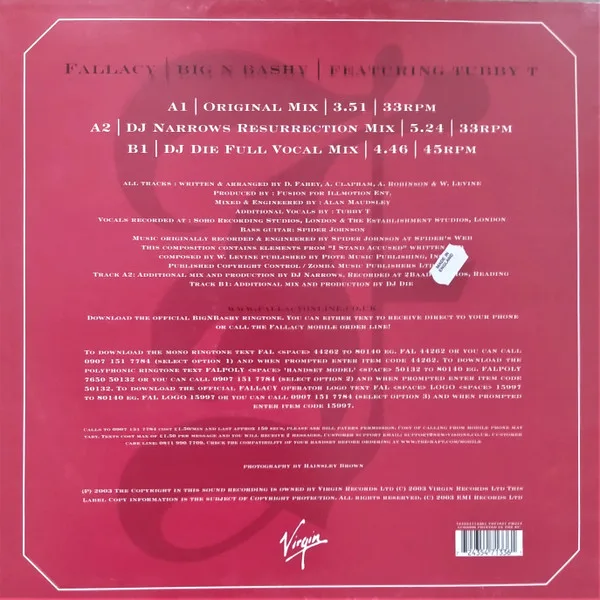 Album cover for Big N Bashy by Fallacy