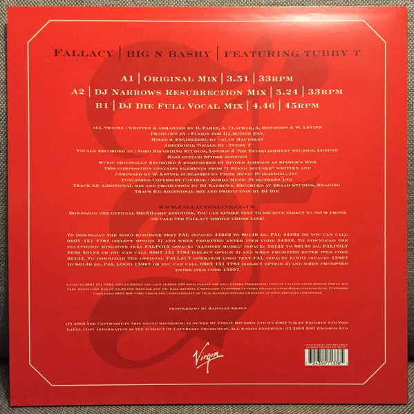 Album cover for Big N Bashy by Fallacy