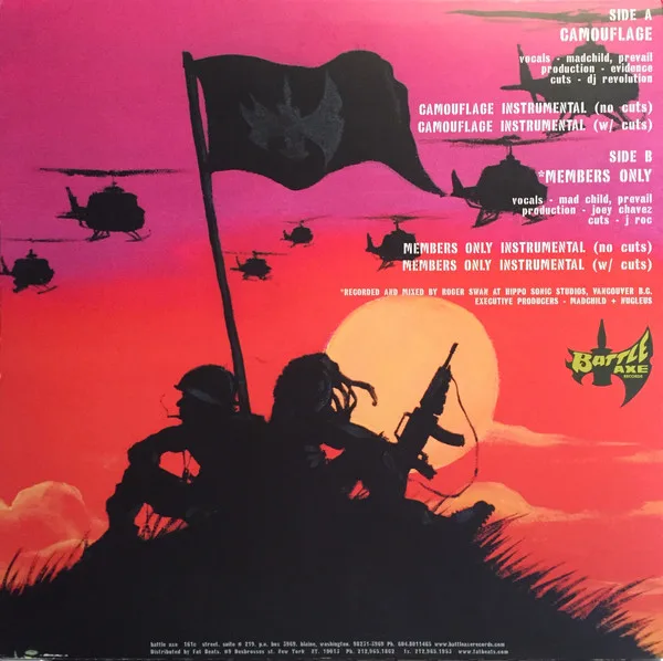 Album cover for Camouflage by Swollen Members