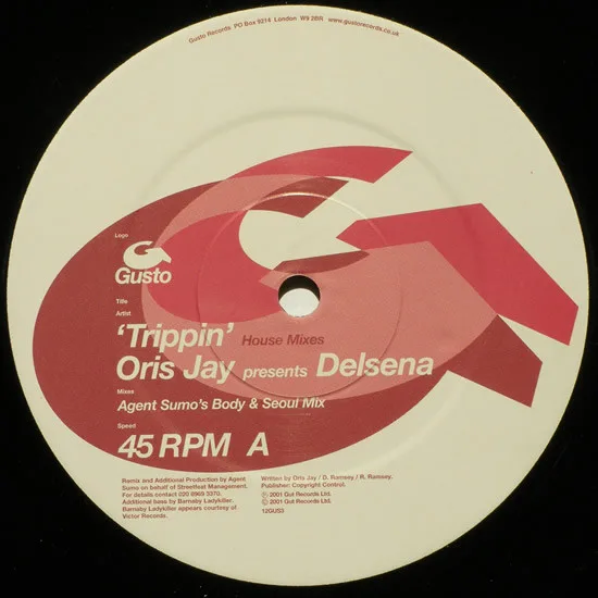 Album cover for 'Trippin' (House Mixes) by Oris Jay Presents Delsena