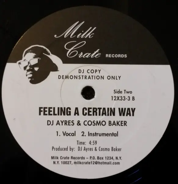 DJ Ayres & Cosmo Baker - Speak My Name / Feeling A Certain Way, Electronic, House, 2005 - Milk Crate Records, Germany, Vinyl 