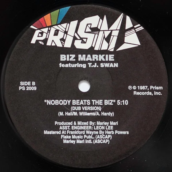 Album cover for Nobody Beats The Biz by Biz Markie Featuring TJ Swan