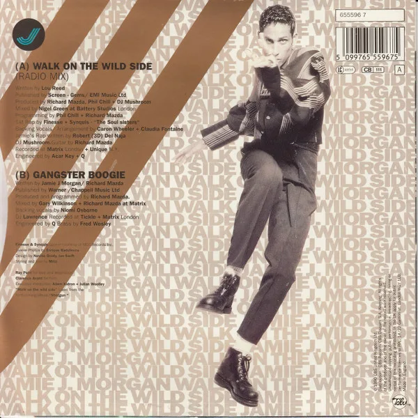 Album cover for Walk On The Wild Side by Jamie J. Morgan