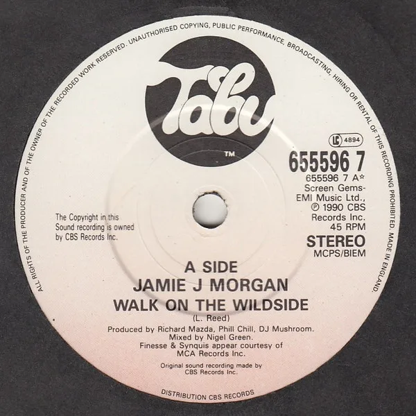 Album cover for Walk On The Wild Side by Jamie J. Morgan