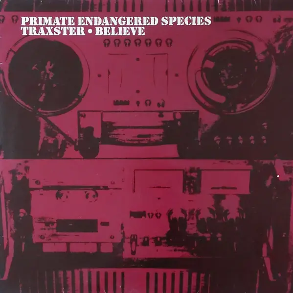 Album cover for Believe by Traxster