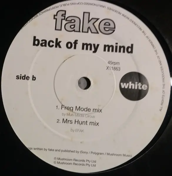 Fake (6) - Back Of My Mind, Electronic, Ambient, Downtempo, Dub Techno, White Label Records, Australia, Vinyl 1x 12"
