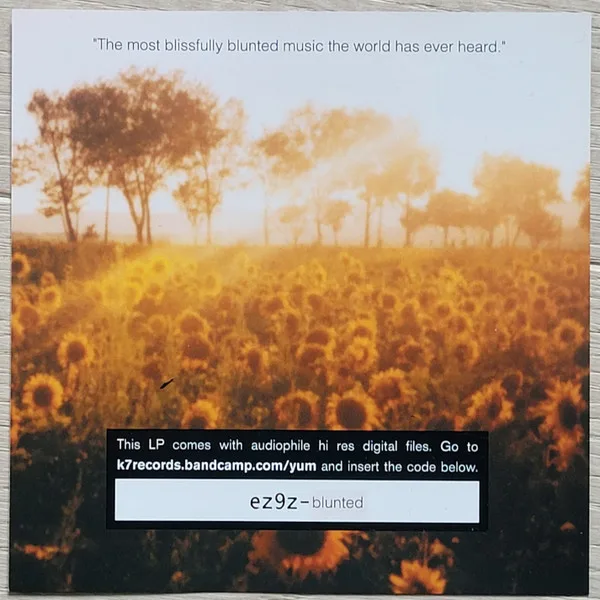 Album cover for The K&D Sessions™ by Kruder & Dorfmeister