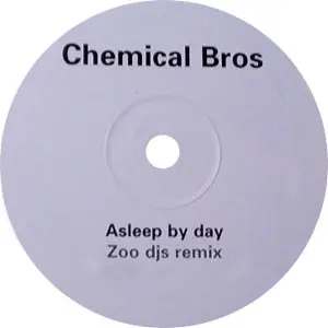 Asleep By Day (Zoo DJs Remix)