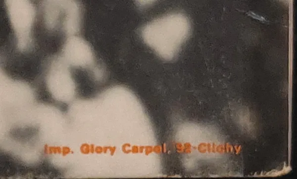 Album cover for Avec Amour by Hugues Aufray