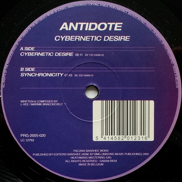 Cybernetic Desire