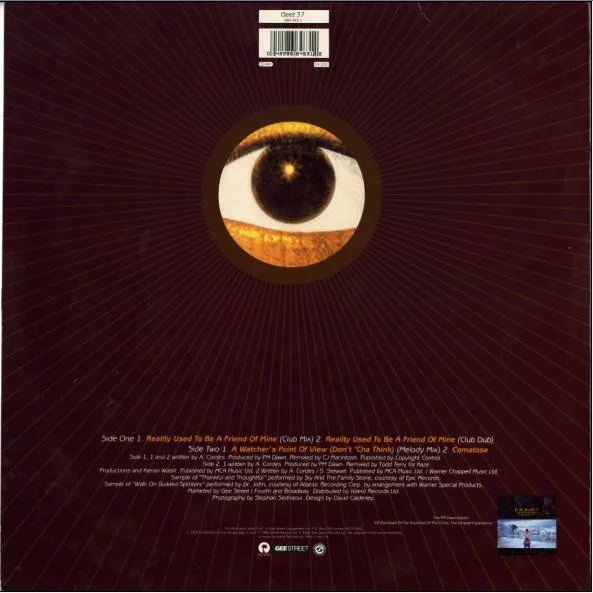 Album cover for Reality Used To Be A Friend Of Mine by P.M. Dawn