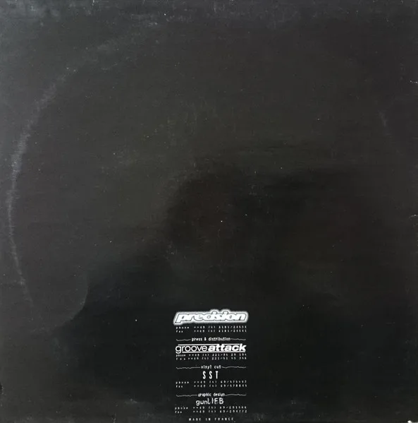 Album cover for The Mirror / Flowers by Tsuneari Fujii
