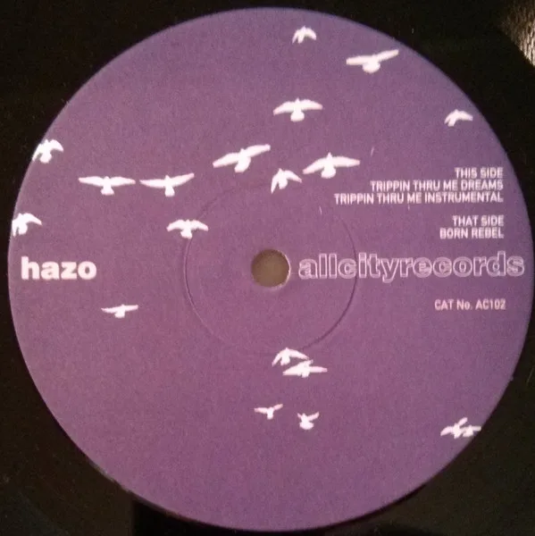 Album cover for Trippin Thru Me Dreams by Hazo