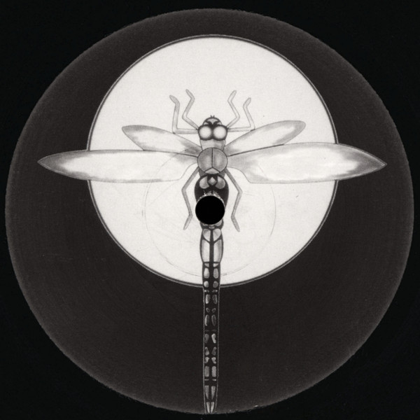 Purple - Cascades / Anoxic, Electronic, Progressive Trance, Psy-Trance, 1999 - Dragonfly Records, UK, Vinyl 1x 12", 45 RPM