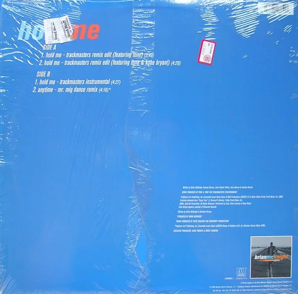 Album cover for Hold Me by Brian McKnight