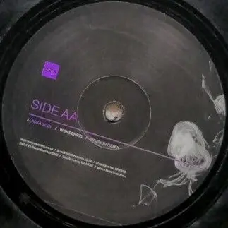 Alaska Soul - Wonderful, Electronic, Progressive House, Tech House, 2002 - Fire, UK, Vinyl 1x 12", 33 ⅓ RPM