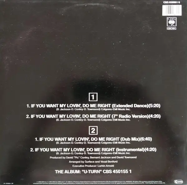 Album cover for If You Want My Lovin', Do Me Right (Special Club Mix) by Isaac Hayes