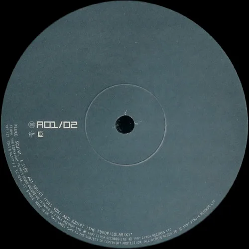 Album cover for Squirt by Fluke