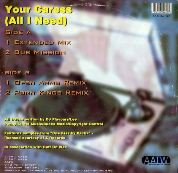 Album cover for Your Caress (All I Need) by DJ Flavours