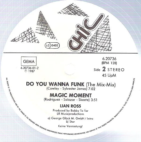Album cover for Do You Wanna Funk by Lian Ross