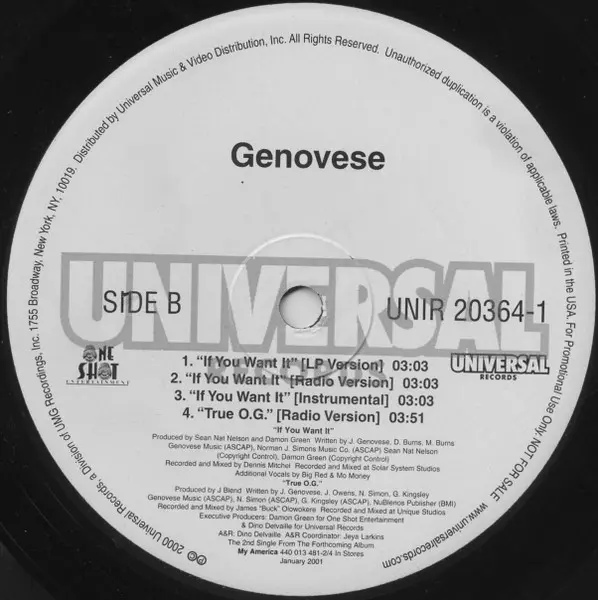 Genovesee - F**k Y'all, Hip Hop, 2001 - Universal Records, US, Vinyl 1x 12", Promo