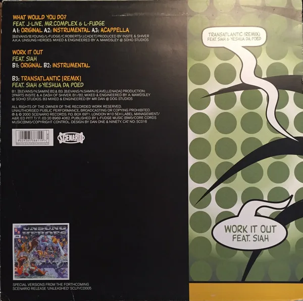 Album cover for What Would You Do? by Unsung Heroes