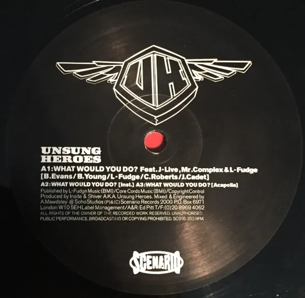 Album cover for What Would You Do? by Unsung Heroes