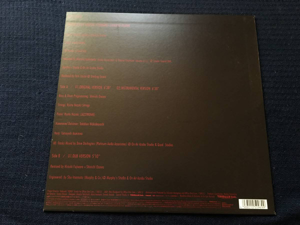 Hiroshi Fujiwara + Shinichi Osawa Feat. Crystal Kay - Lost Child, Electronic, Pop, Downtempo, 2001 - SMEJ Associated Records,