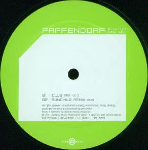 Album cover for Rhythm And Sex by Paffendorf