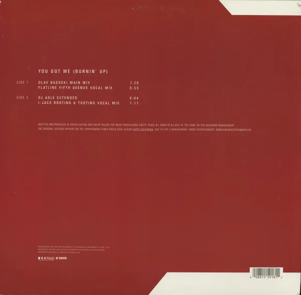 Album cover for You Got Me (Burnin' Up) by Funky Green Dogs