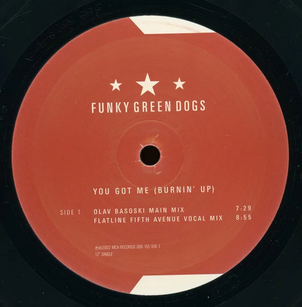 Album cover for You Got Me (Burnin' Up) by Funky Green Dogs