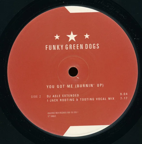 Album cover for You Got Me (Burnin' Up) by Funky Green Dogs