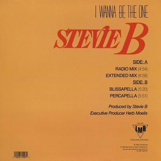 Album cover for I Wanna Be The One by Stevie B