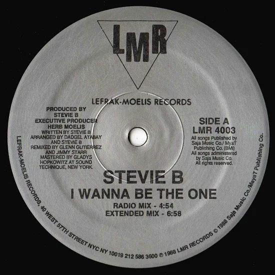 Album cover for I Wanna Be The One by Stevie B
