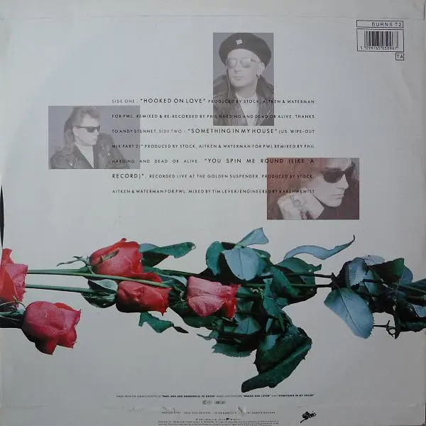 Dead Or Alive - Hooked On Love, Electronic, Pop, Synth-pop, 1987 - Epic, UK, Vinyl 1x 12", 45 RPM, Single